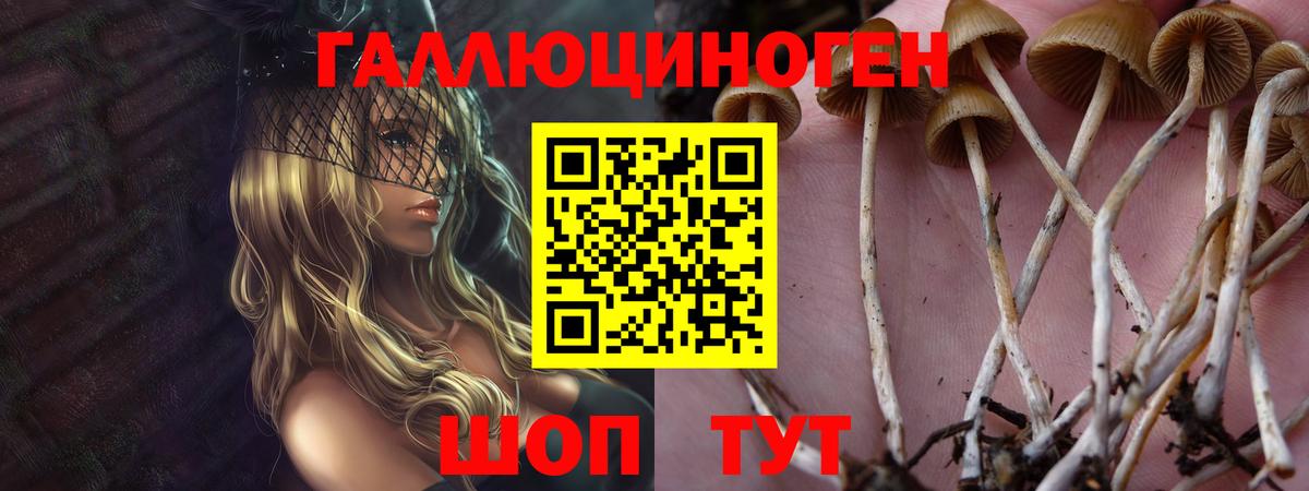 Псилоцибиновые грибы прущие грибы  Вход с VPN  Михайловск  Псилоцибиновые грибы мухоморы 